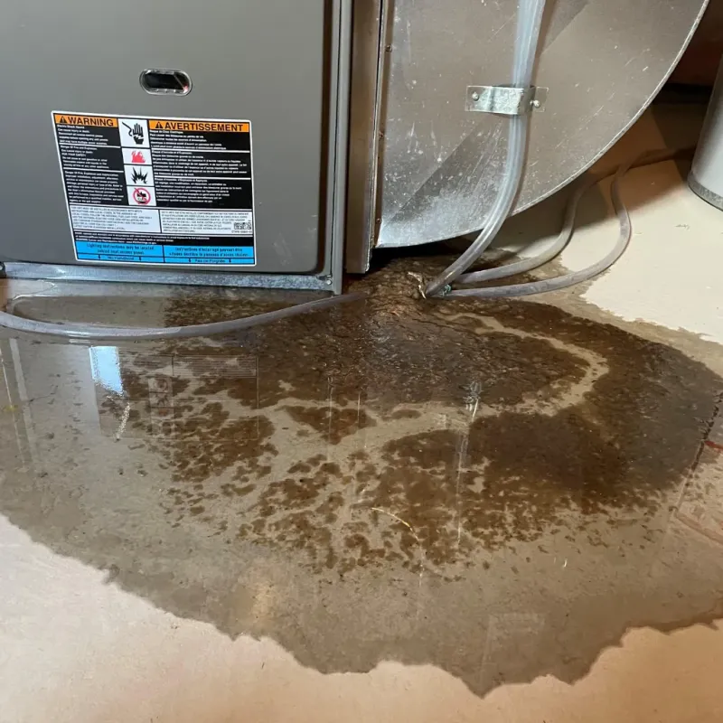 Appliance Leak Cleanup in Atchison, KS